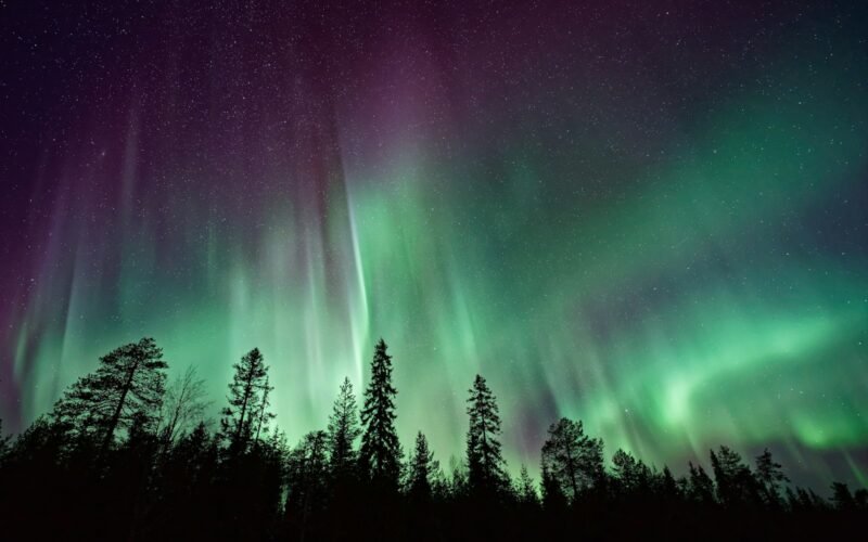 Aurora boreal sobre árboles oscuros