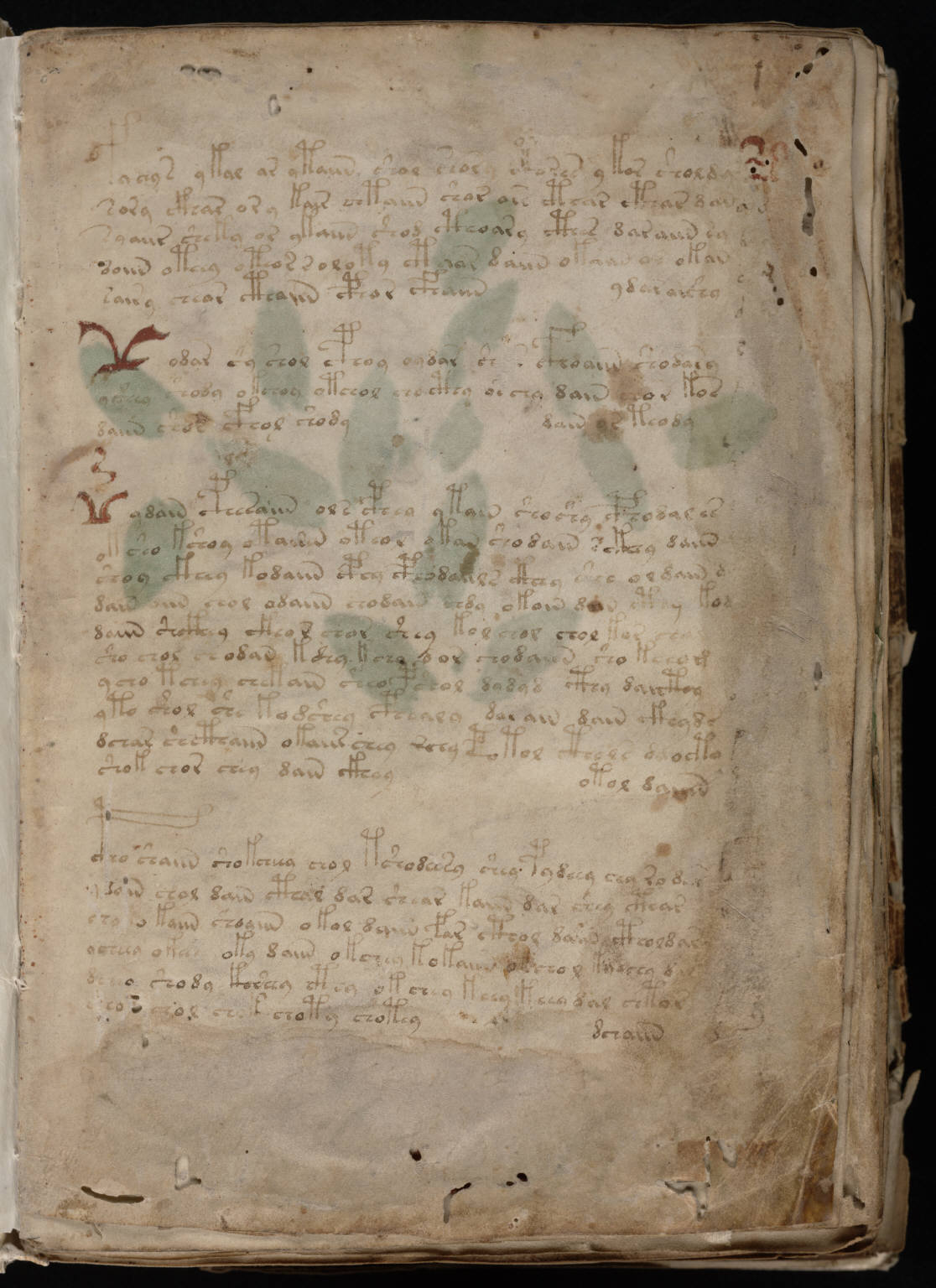 Folio 1r del manuscrito Voynich, con líneas de escritura desconocida y pequeñas ilustraciones sobre pergamino.